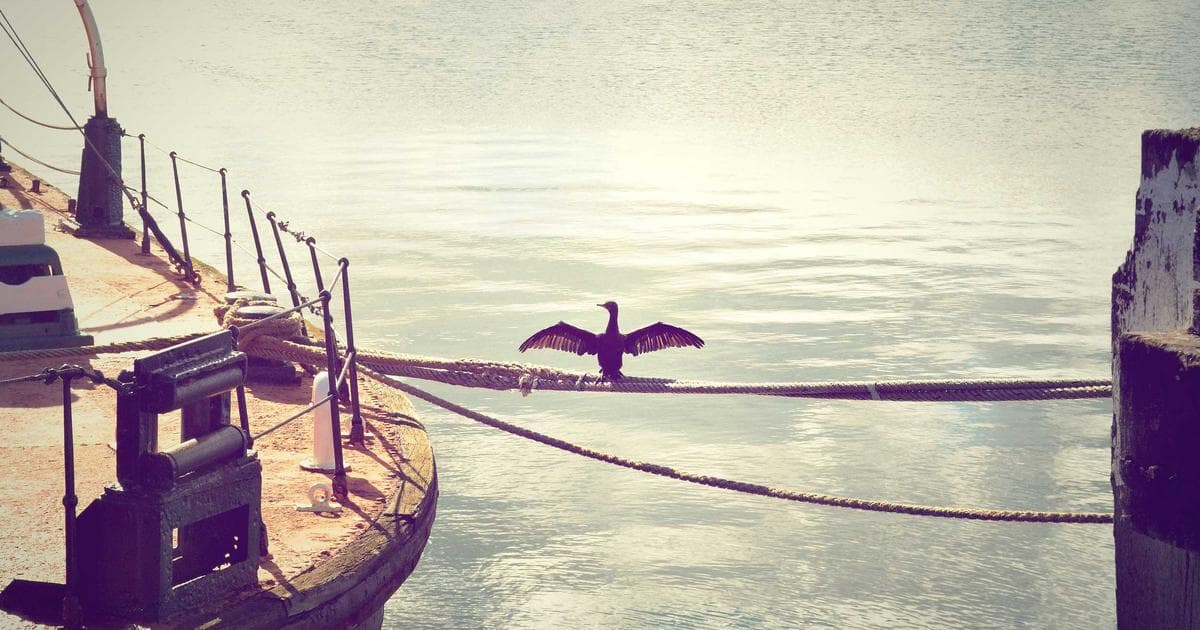 Cloud cost dashboard showing spend analysis, optimization recommendations, and savings trends