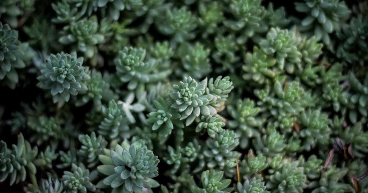 Cybersecurity operations center in India with analysts monitoring threat dashboards across multiple screens