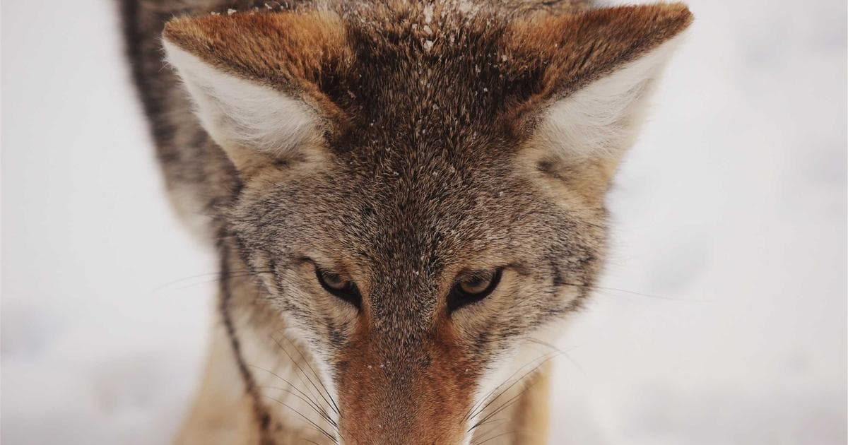 Modern data engineering team in India collaborating on a lakehouse architecture design with real-time pipeline dashboards
