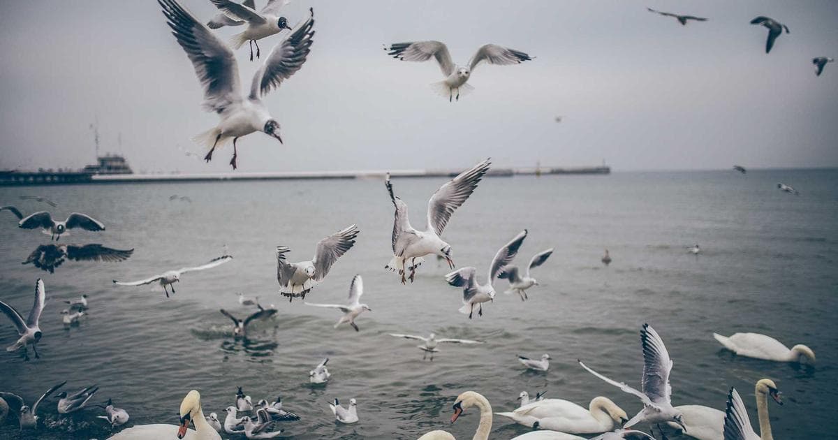 Microsoft Dynamics 365 interface showing ERP financial dashboards and CRM sales pipeline views