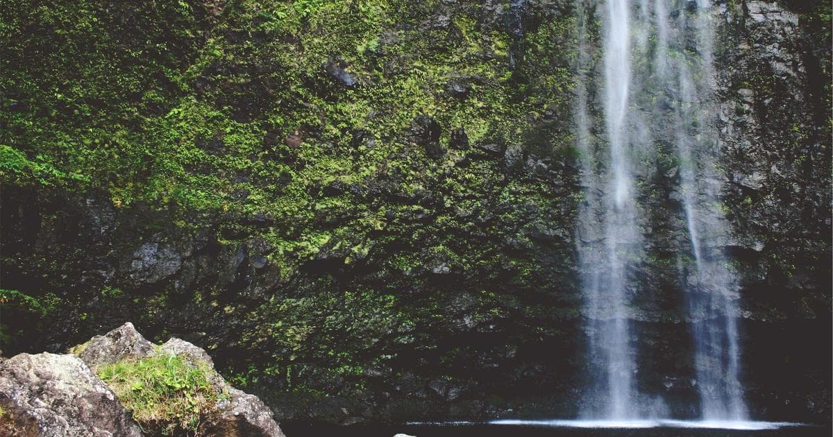 SAP development environment showing ABAP code editor alongside Fiori application design and HANA database optimization tools