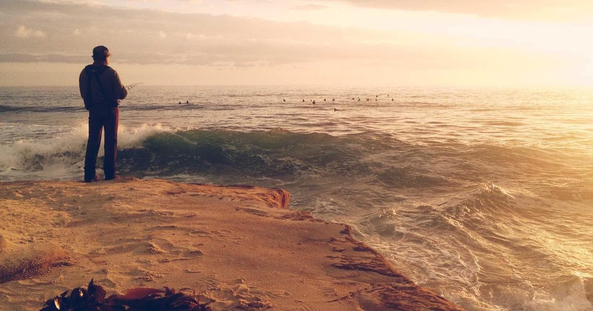 Digital procurement dashboard showing sourcing analytics, supplier management, and spend visibility powered by SAP Ariba