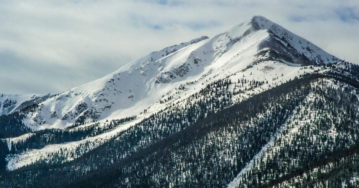 Cloud HCM platform dashboard showing employee management, organizational structure, and workforce analytics in SAP SuccessFactors