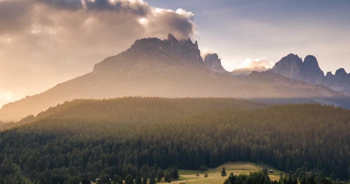 Workday HCM analytics dashboard in a modern US corporate environment