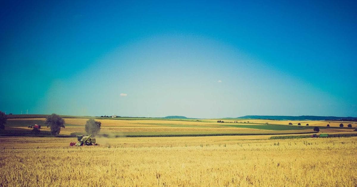 Enterprise transformation roadmap showing critical decision points and common failure modes